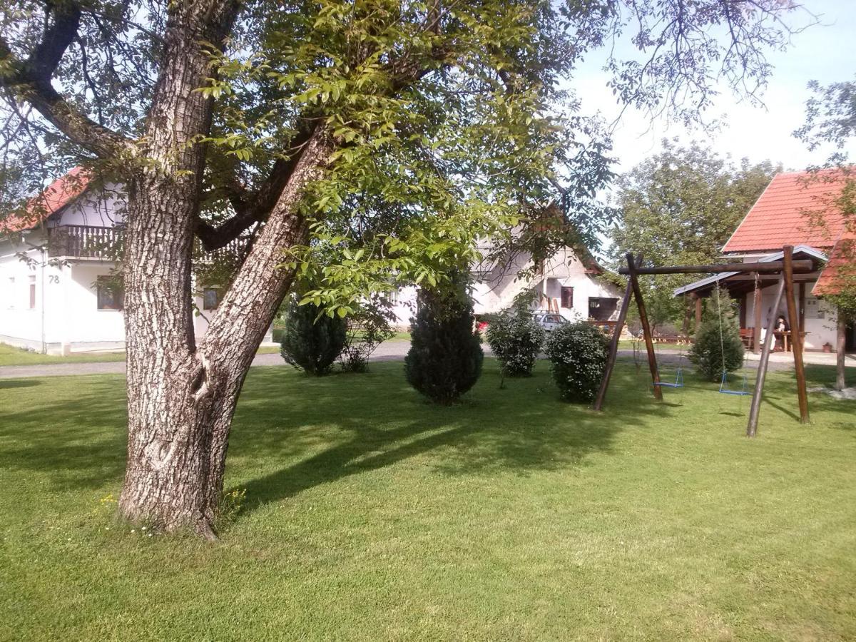 Apartments With A Parking Space Smoljanac, Plitvice - 12345 Екстериор снимка